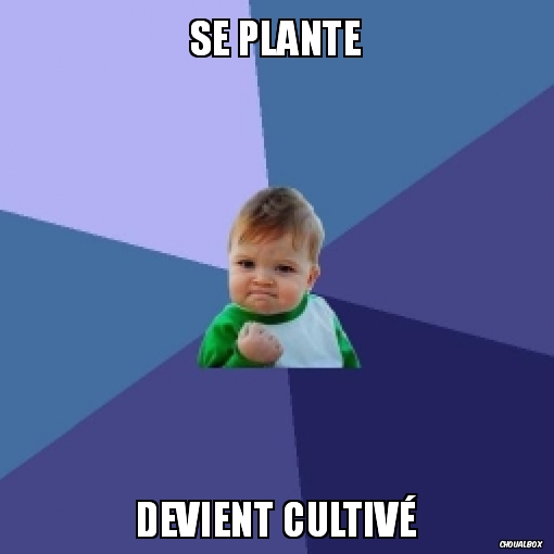 Se plante