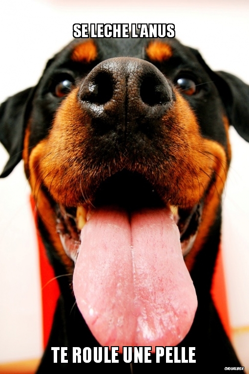 Se lèche l'anus