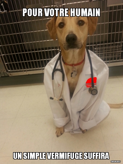 Dans un monde parallèle