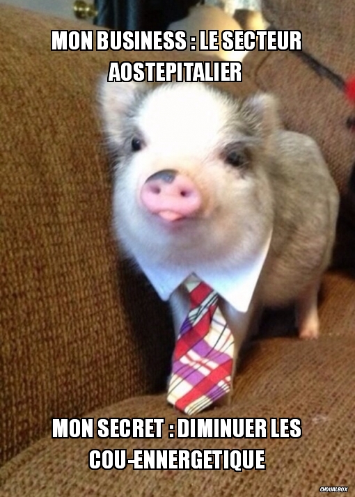 Mon business : le secteur aostepitalier