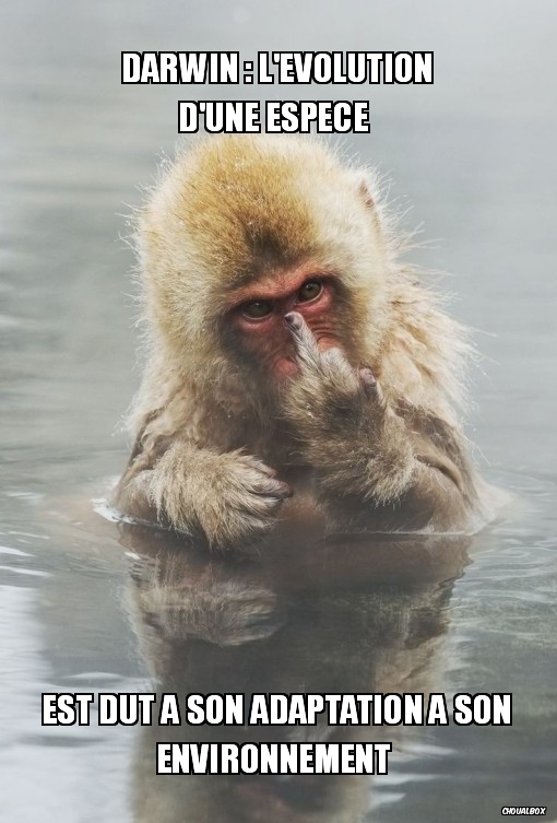 L'évolution régressive.  