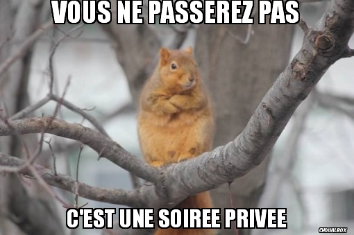 Vous ne passerez pas