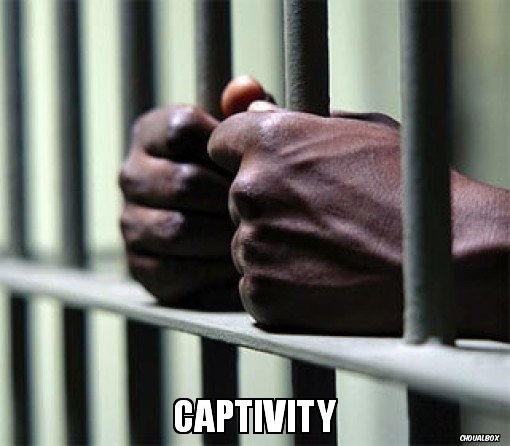 captivity