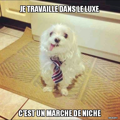 Je travaille dans le luxe