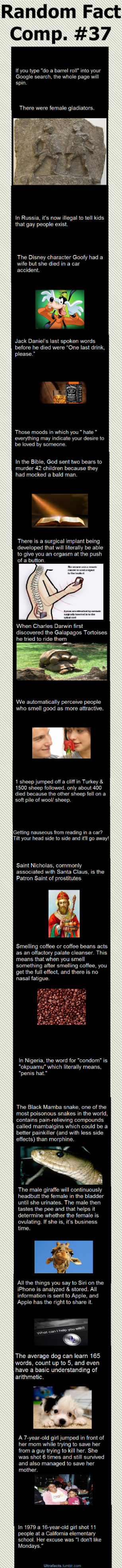 Random Facts Comp 37