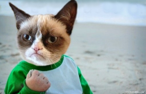 successgrumpycat