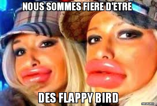 Nous sommes fière d'être des flappy bird