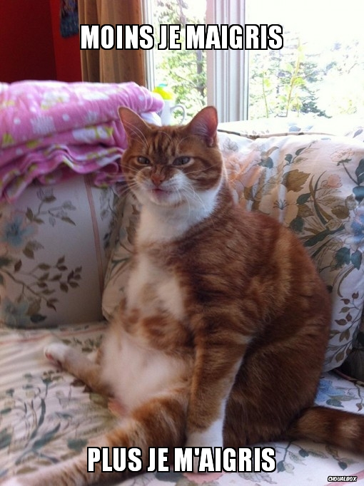 Moins je maigris