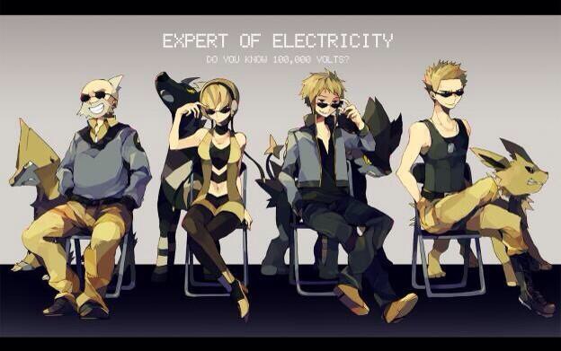 Expert of electricity