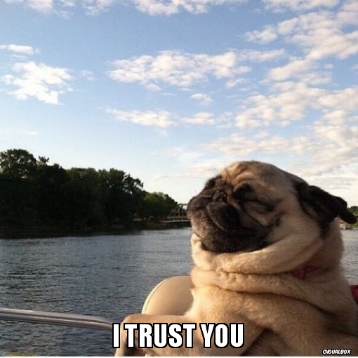 You trust me ?