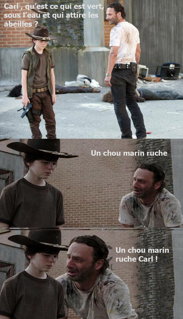 On reste sur les abeilles...