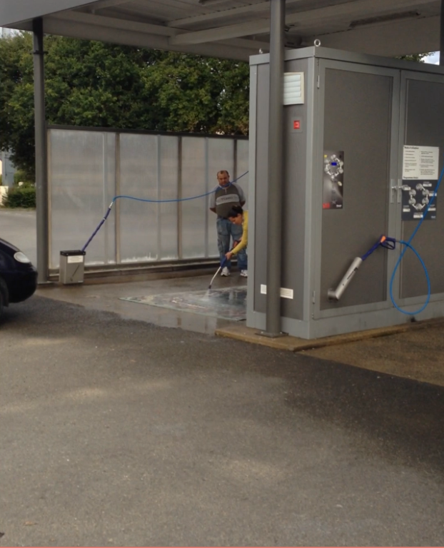 Chérie ! Choupi le chien a encore fait sur le tapis...