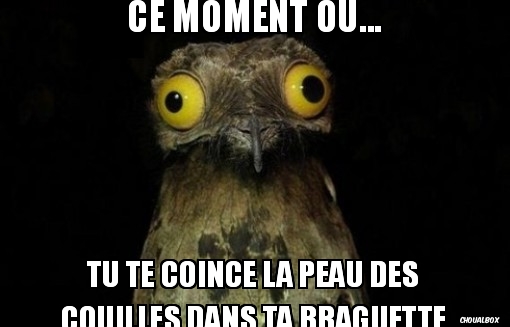 Ce moment ou...