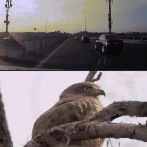 Quand un ninja a un accident...