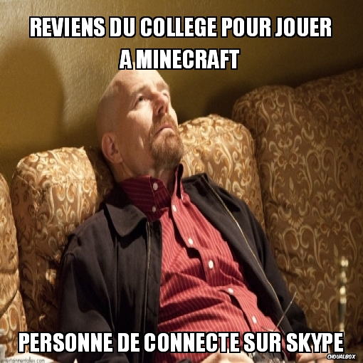 reviens du collège pour jouer à minecraft
