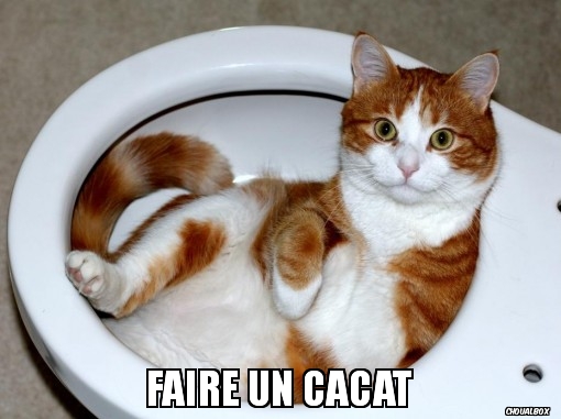 Faire un cacat
