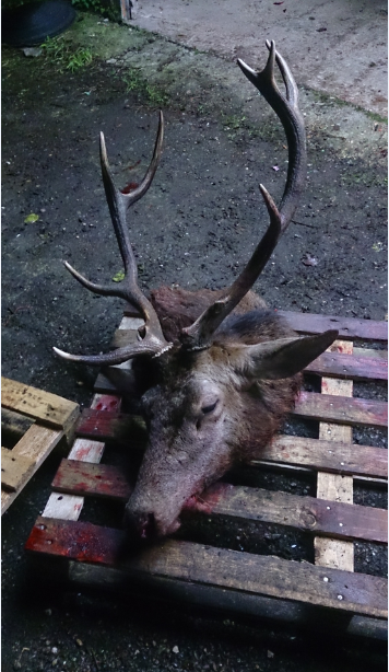 Me prend pas la tête !