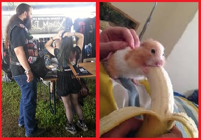 La belle et la bête ! #Aoutchçadoitfairemal !