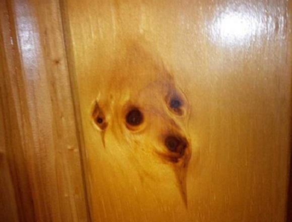 Wow! Such door! Very wood! Much creepy!