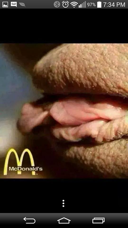 Aimez-vous le McDonald's ?