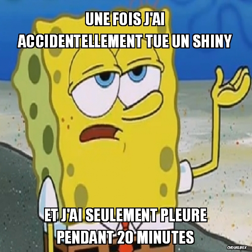 une fois j'ai accidentellement tué un shiny