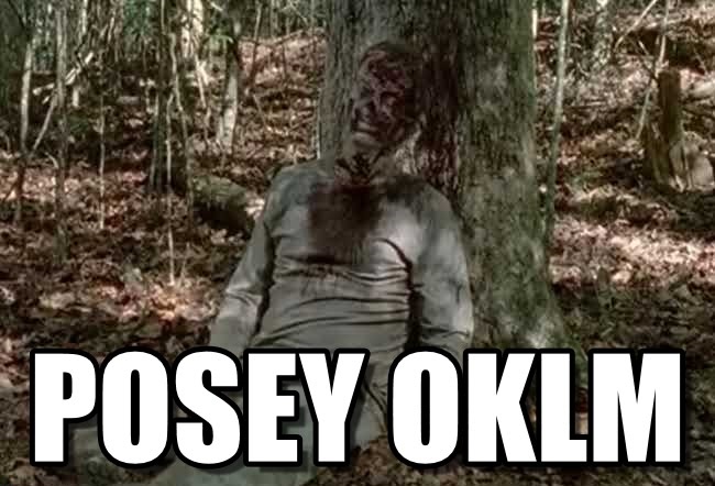 Posey OKLM The Walking Dead[spoiler]