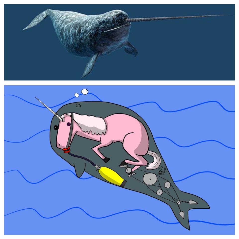 la vérité enfin dévoilée