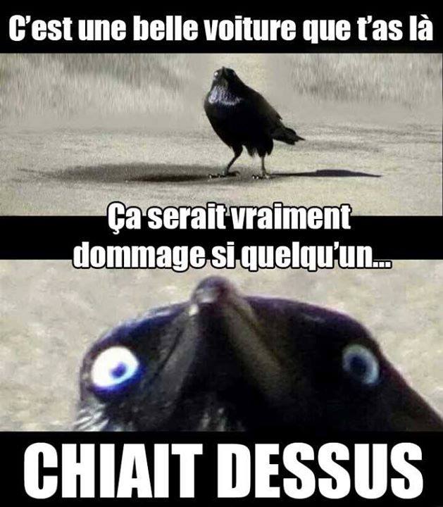 Une décision forte intéressante 