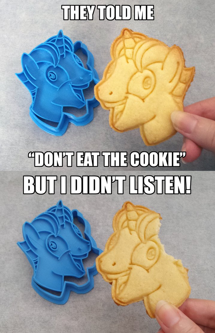 I Didn't Listen ~ Cookie Cutter