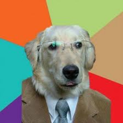 Business Dog