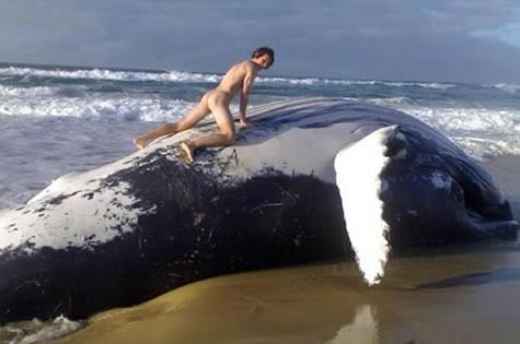 Je baise une baleine morte échouée sur la plage