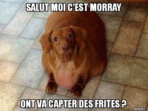 Salut moi c'est Morray