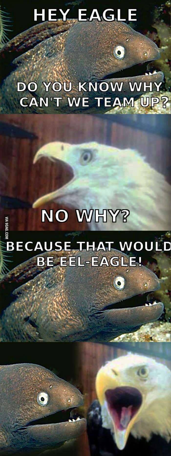 Hey eagle...