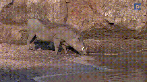 Quand ça veut pas...