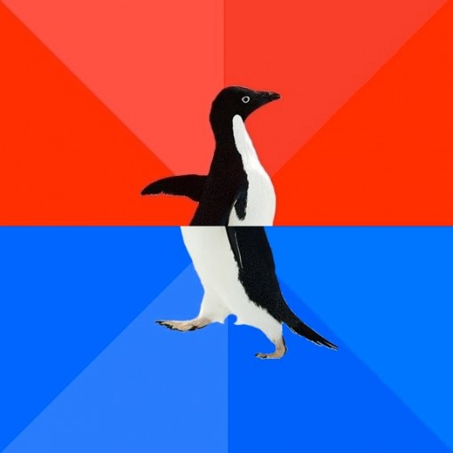 awkward penguin