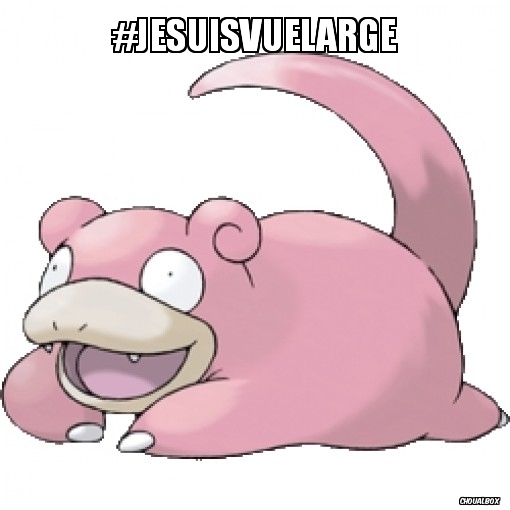 Rendez nous la vue large !