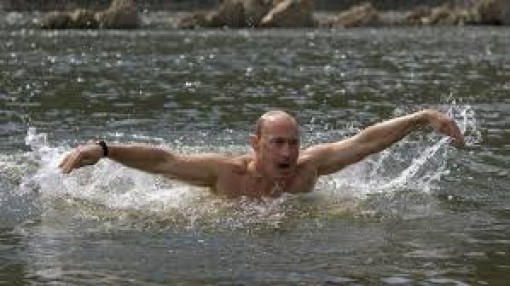 Apprend le papillon avec Poutine