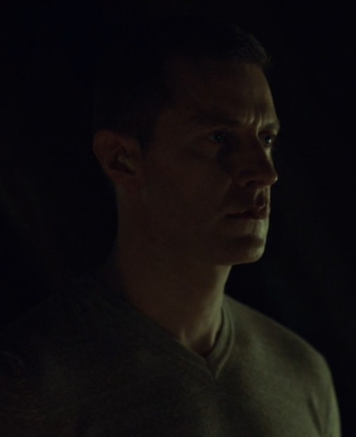 francis dolarhyde logic