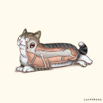 Tout est désormais clair