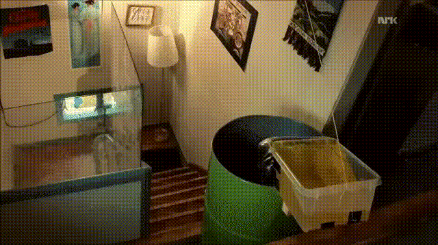 Peroxyde d'hydrogène (H2O2) + Iodure de Potassium (KI)