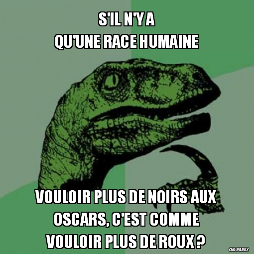 S'il n'y a qu'une race humaine