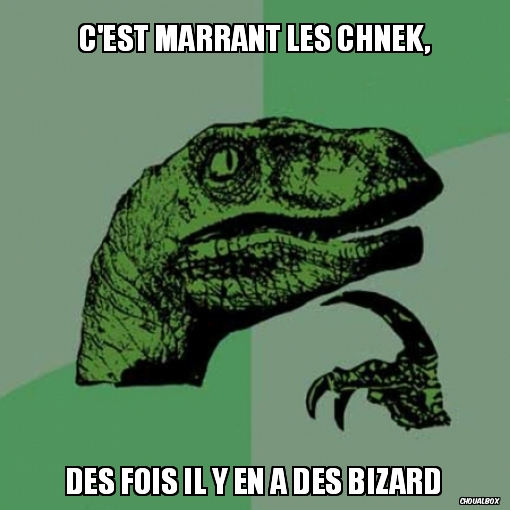 C'est marrant les chnek,
