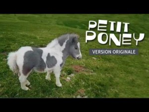 Petit Poney - Dieudonné 