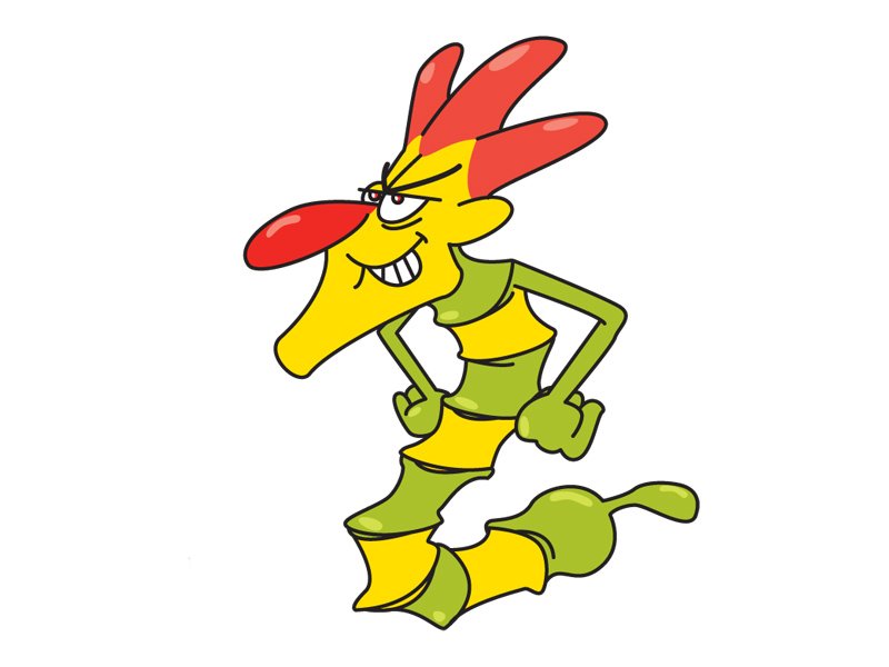 IMG