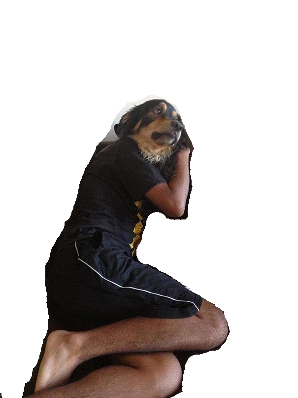 IMG