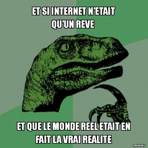 Et si internet n'était qu'un rêve ...
