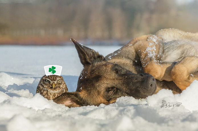 Un volontaire du Trèfle Vert éprouve sa patience auprès d'un cocaïnomane notoire