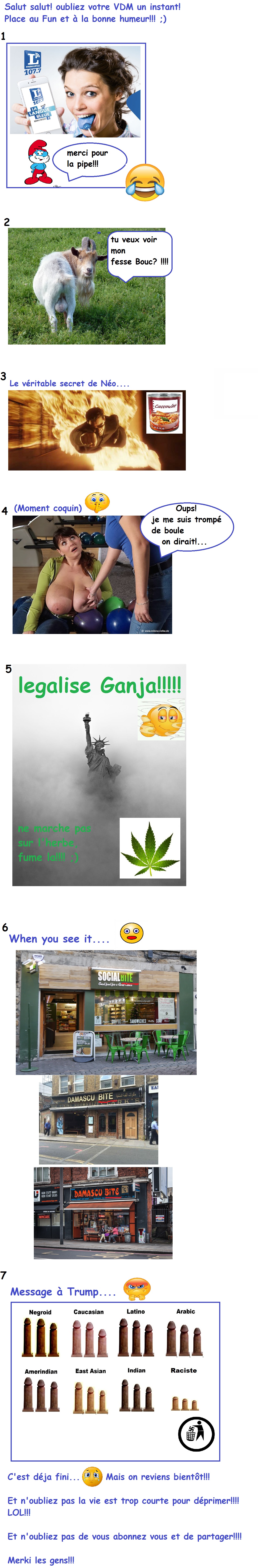 &quot;Plus de Fun!&quot; #5