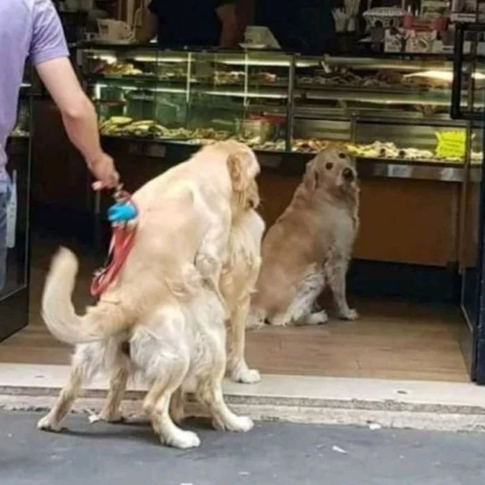 Chérie, tu veux quel parf....