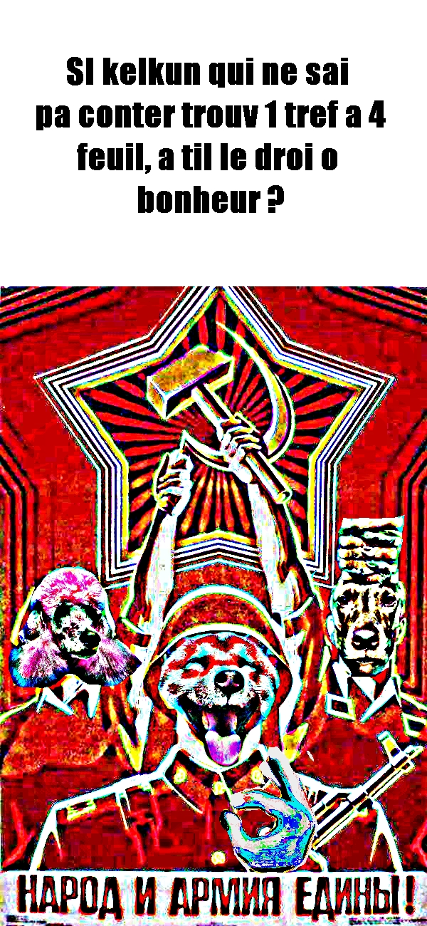 Nouvelles pensées échevelées - Stanislaw Jerzy Lec